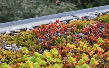 the cost of Garford green roof installation